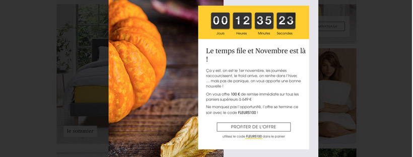 Code Promo Eve : 100 euros de réduction avec le code FLEUR100