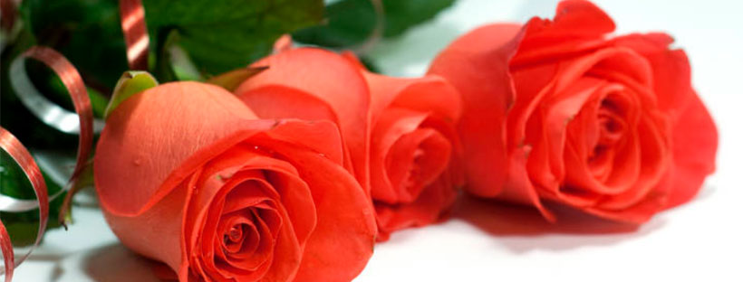 Offrir un matelas pour la fête des mères : réductions massives ICI